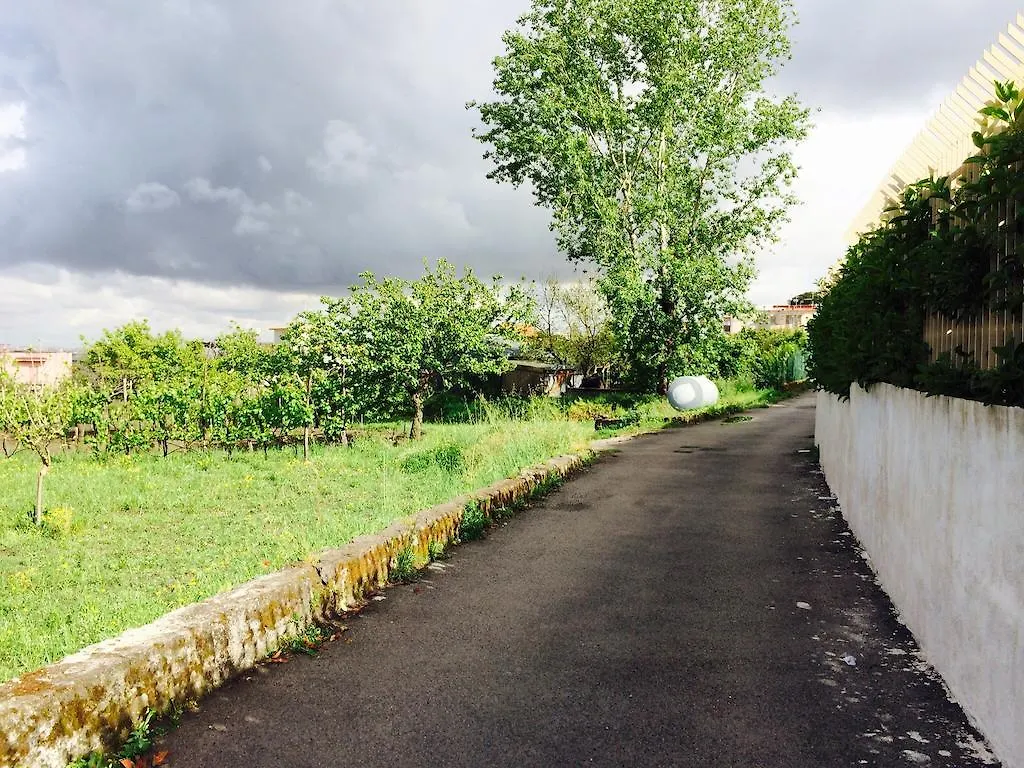 B&B Villa Nunzia Ercolano Bed & Breakfast